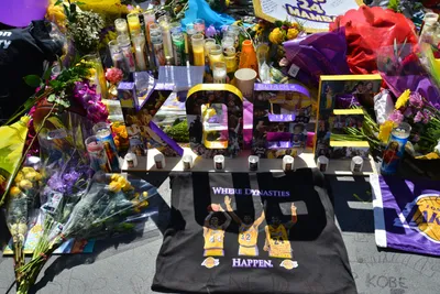 DSC_7126 (Large).JPG